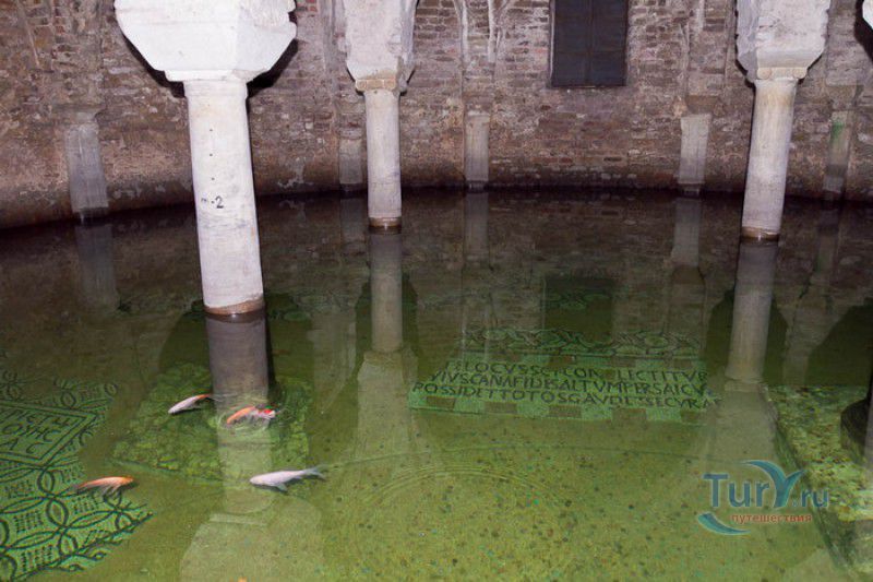 Базилика Святого Франциска