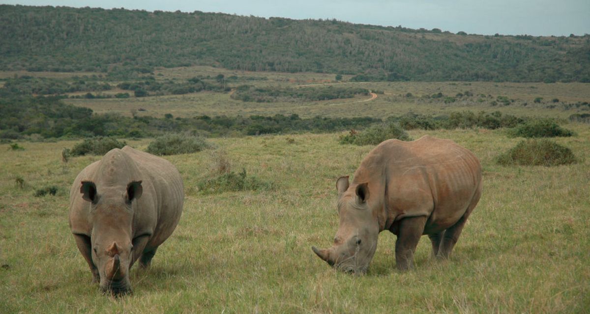 Национальный парк Гарамба