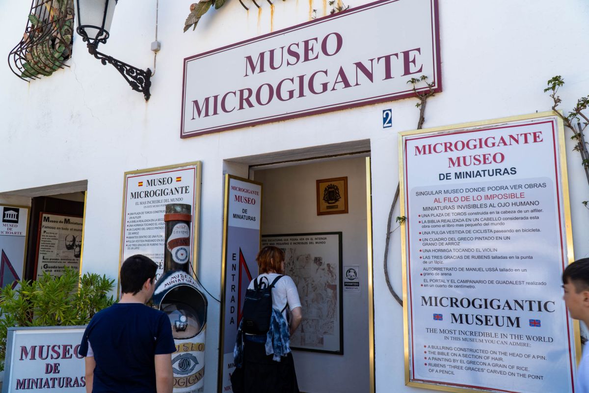 Музей микрогигантов