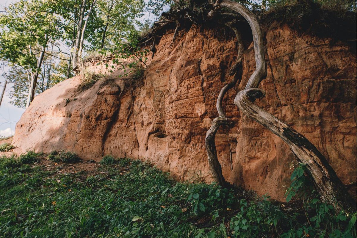 Вильяндиский замковый парк
