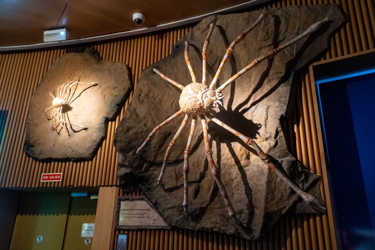 Океанографический парк Валенсии