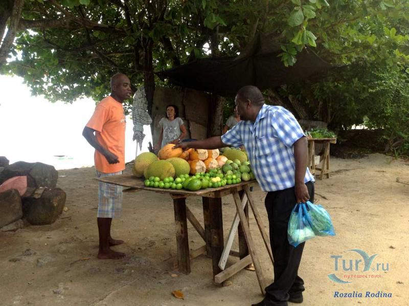 Пляж Анс-о-Пен и бухта Тартл