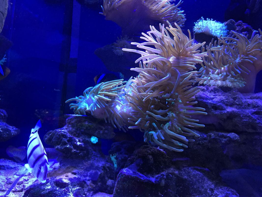 Океанариум Морская Сказка в Киеве