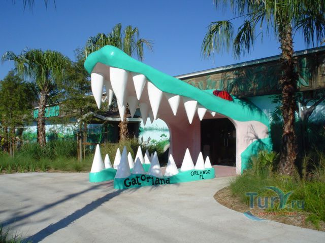 Гейторленд