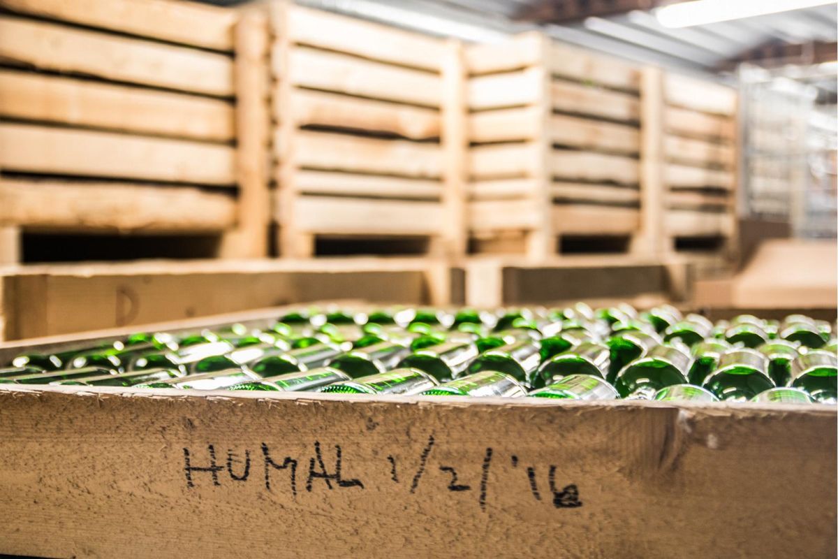 Фабрика сидра 