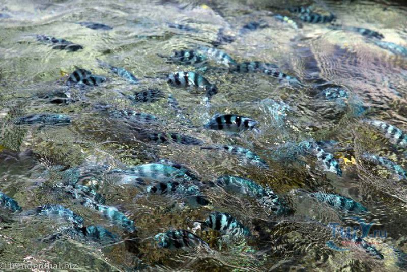 Морской национальный парк Сент-Анн