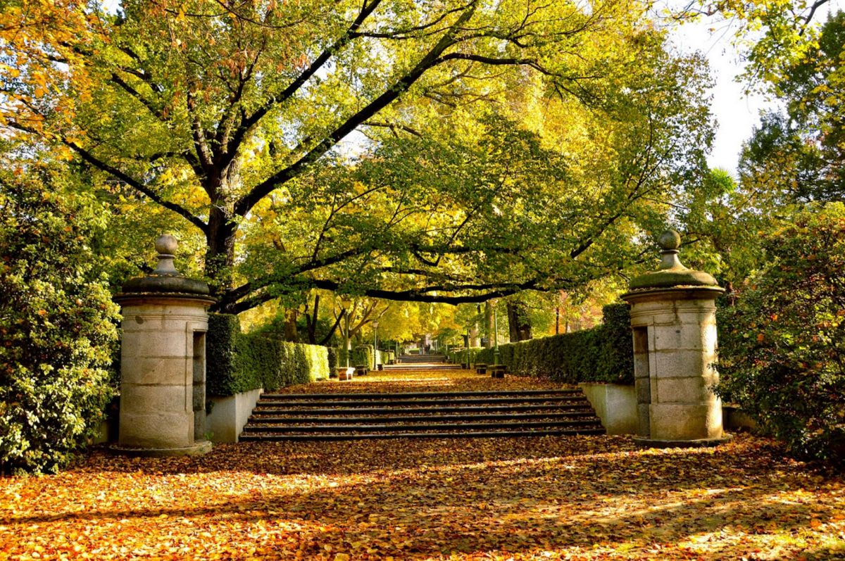 Королевский ботанический сад Мадрида