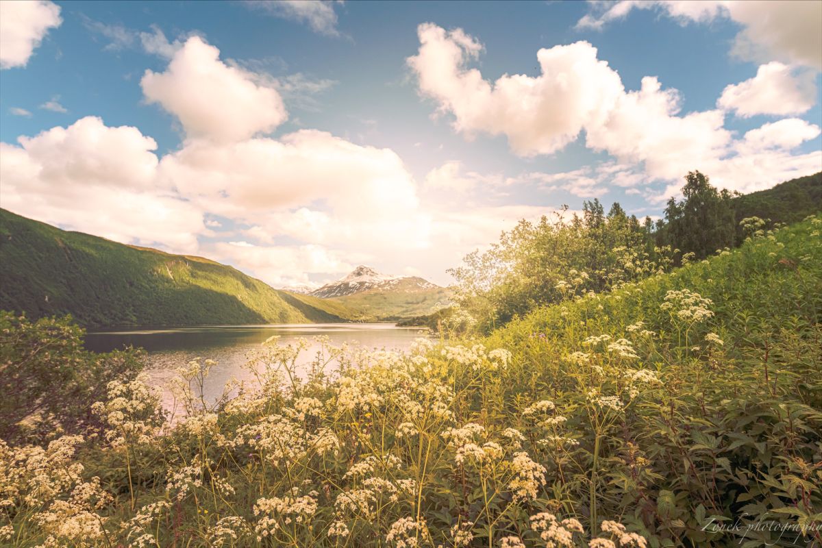 Фьорды Норвегии