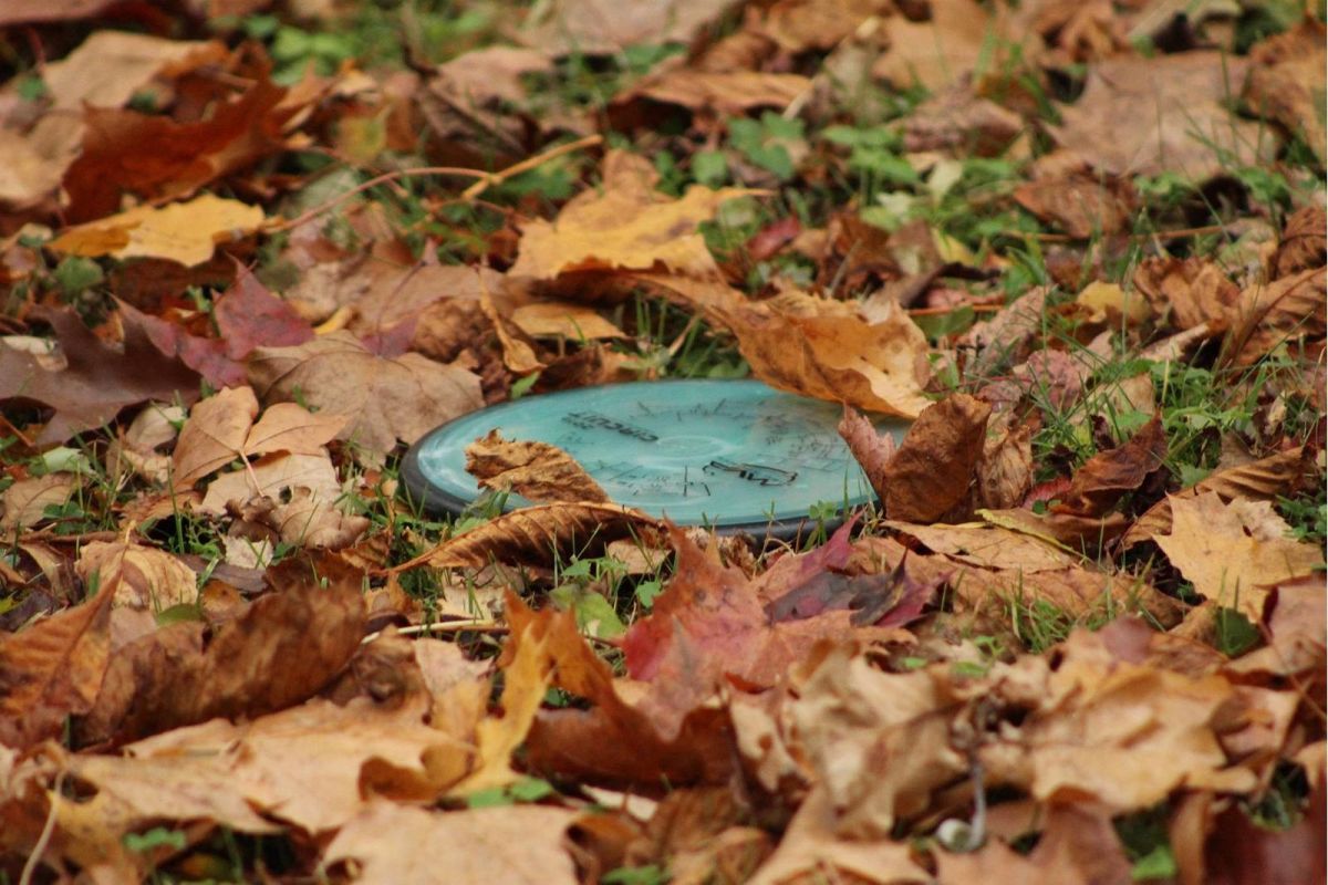 Парк для диск-гольфа Rotary в Вильянди