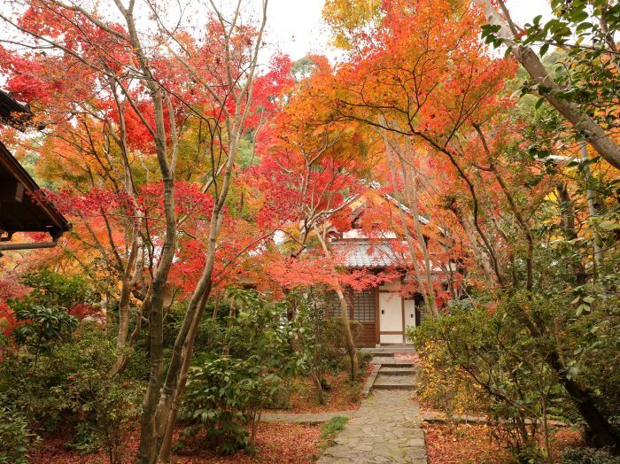Храм Зенпорицу-дзи (Храм клена)