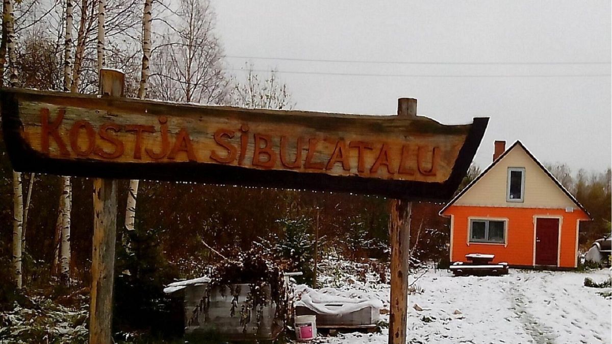 Луковая ферма Костя