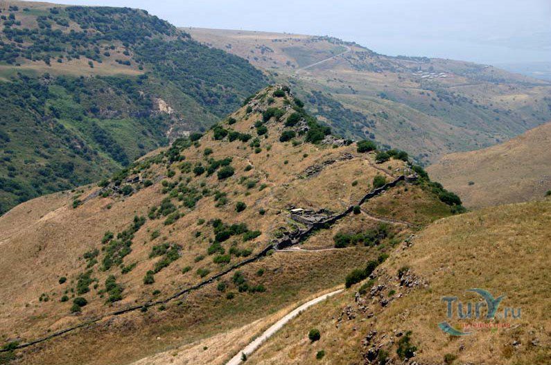 Заповедник Гамла