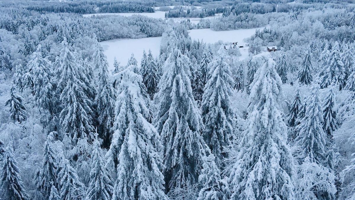 Смотровая вышка Суур-Мунамяги (Большая Мунамяги)