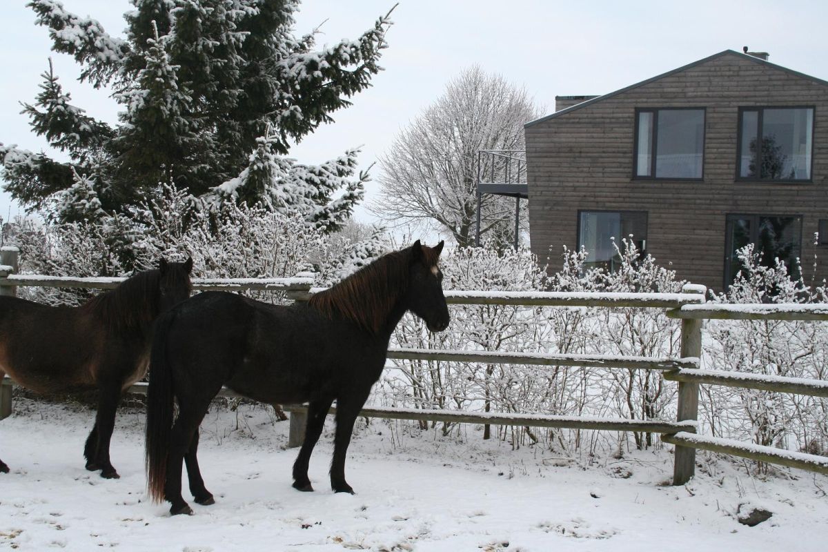 Дом отдыха Pikla Linnumaja
