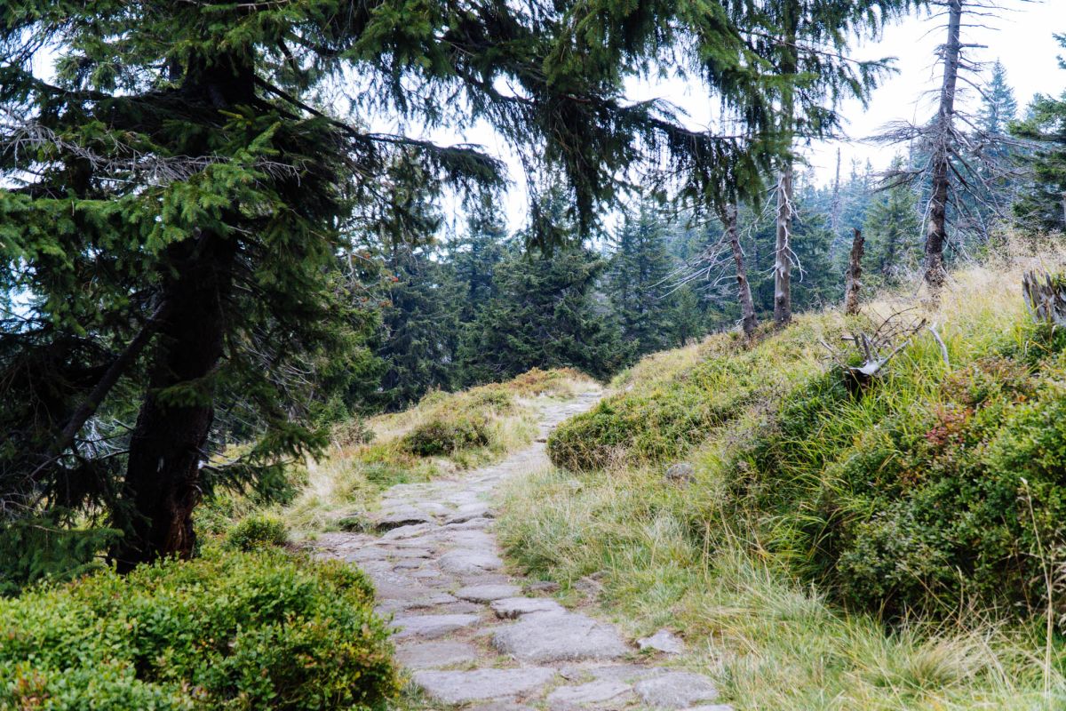 Карконошеский национальный парк