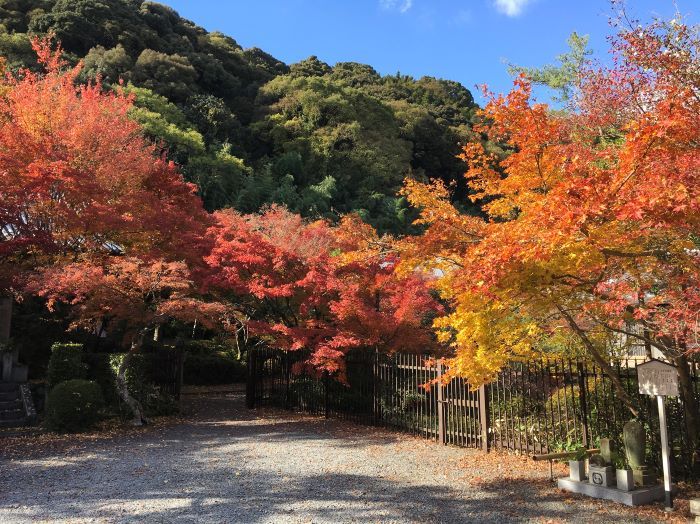 Храм Зенпорицу-дзи (Храм клена)
