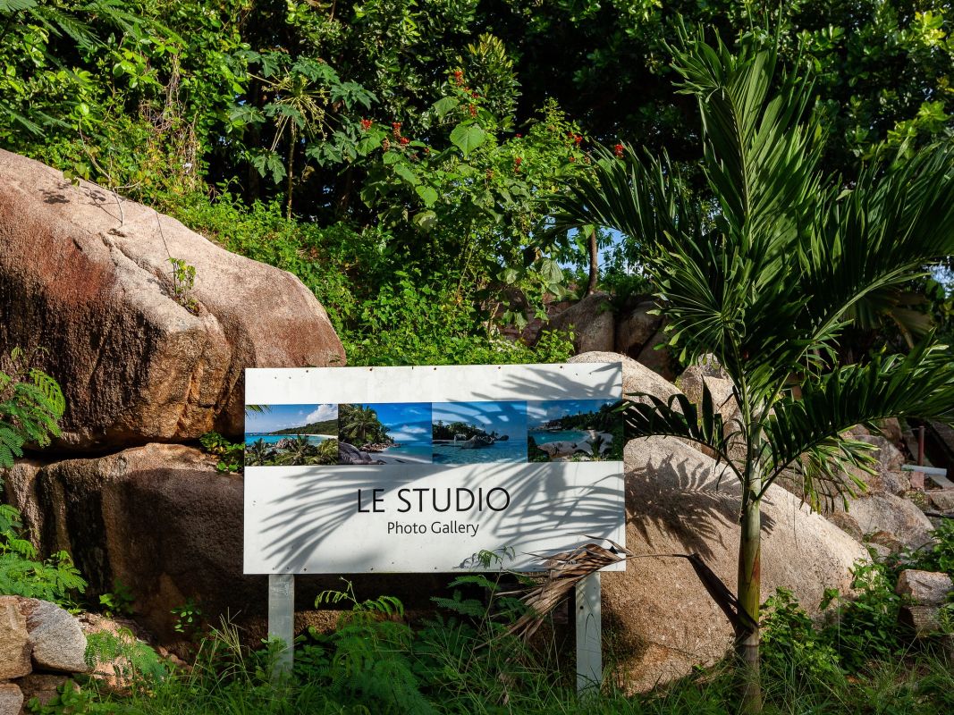 Фотогалерея Le Studio