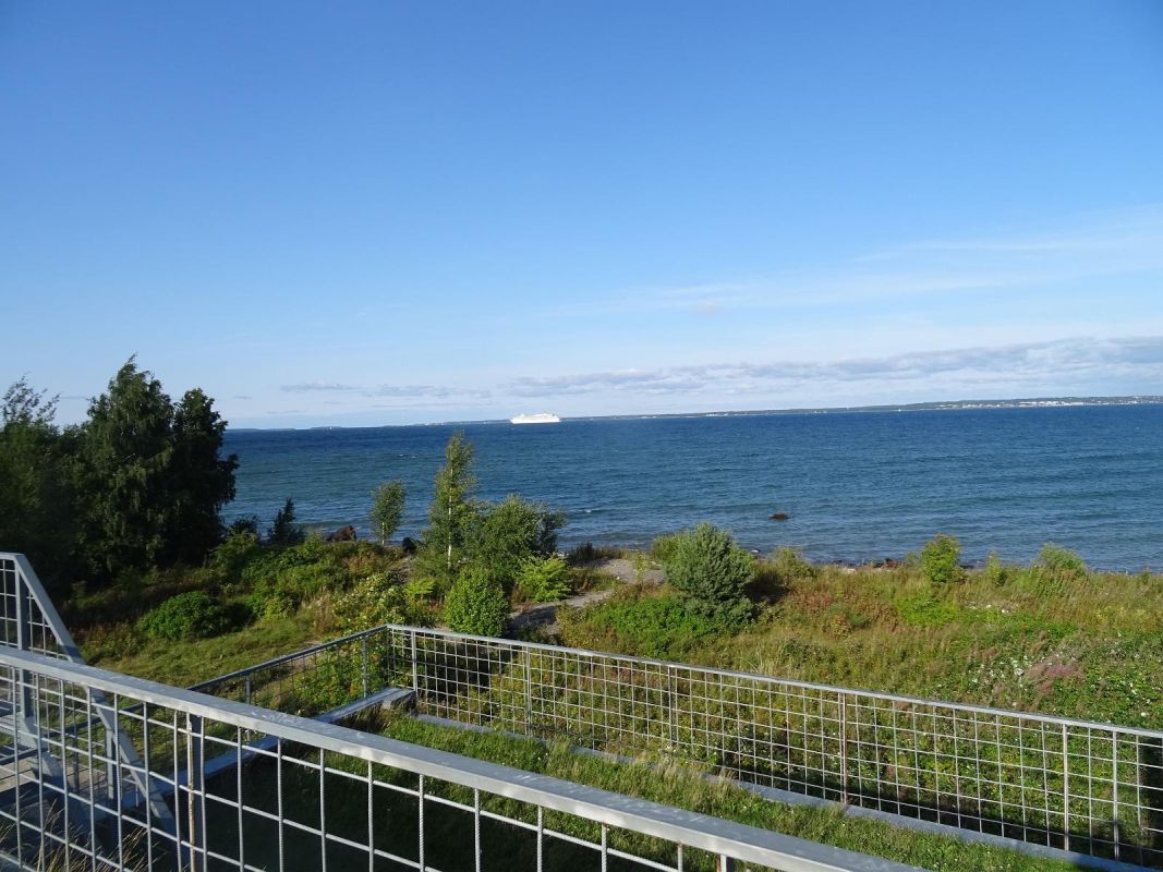 Смотровые вышки для наблюдения за птицами в Пальяссаареской заповедной зоне