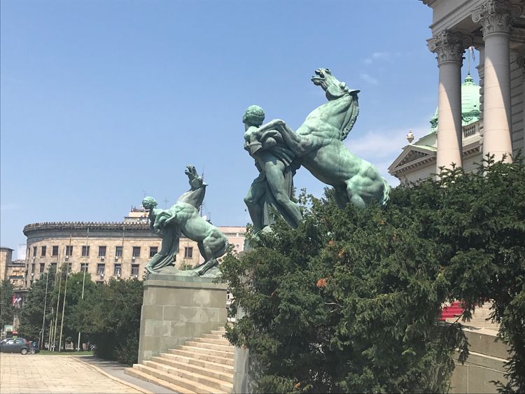 Черные лошади в игре - Национальное собрание