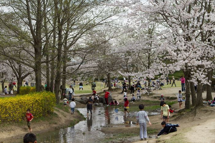 Мемориальный парк Кейханна