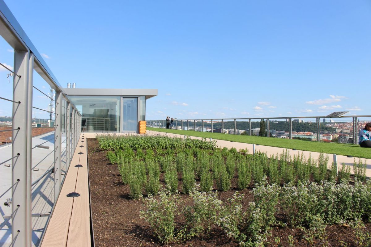Панорамная терраса с садом на крыше Национального музея земледелия