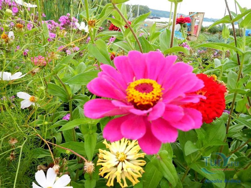 Чистопольский речной порт