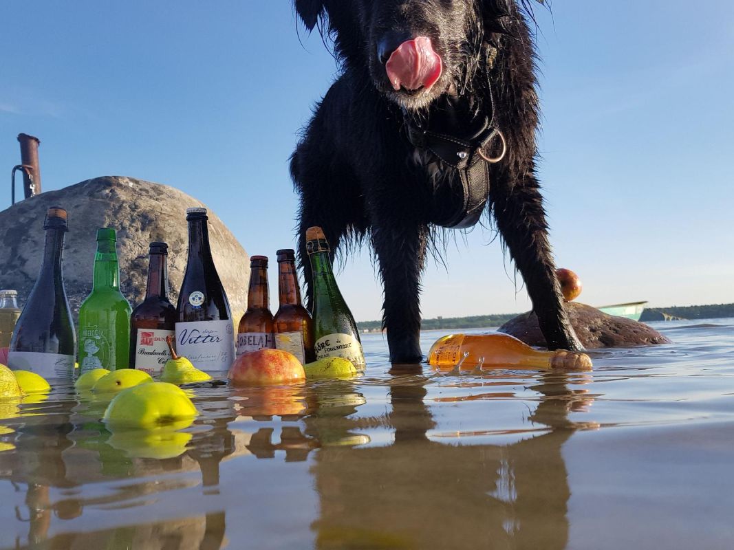 Эстонский Дом сидра