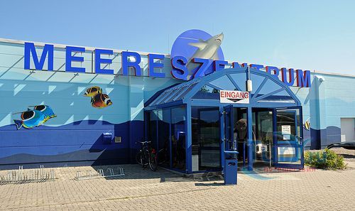 Морской центр на острове Фемарн