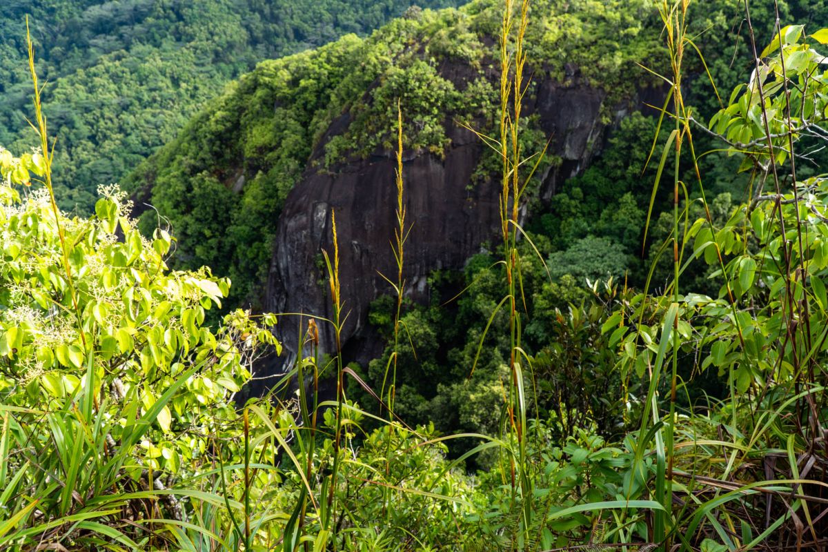 Смотровая площадка Морн Блан
