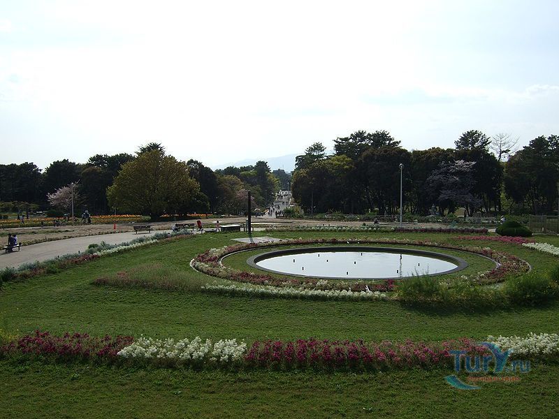 Парк Хэттори Риокучи