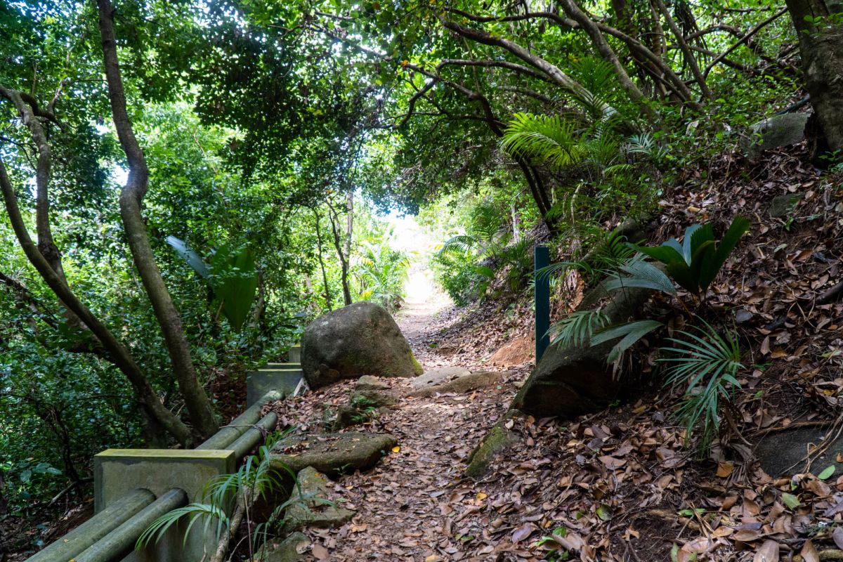 Тропа Анс Мажор