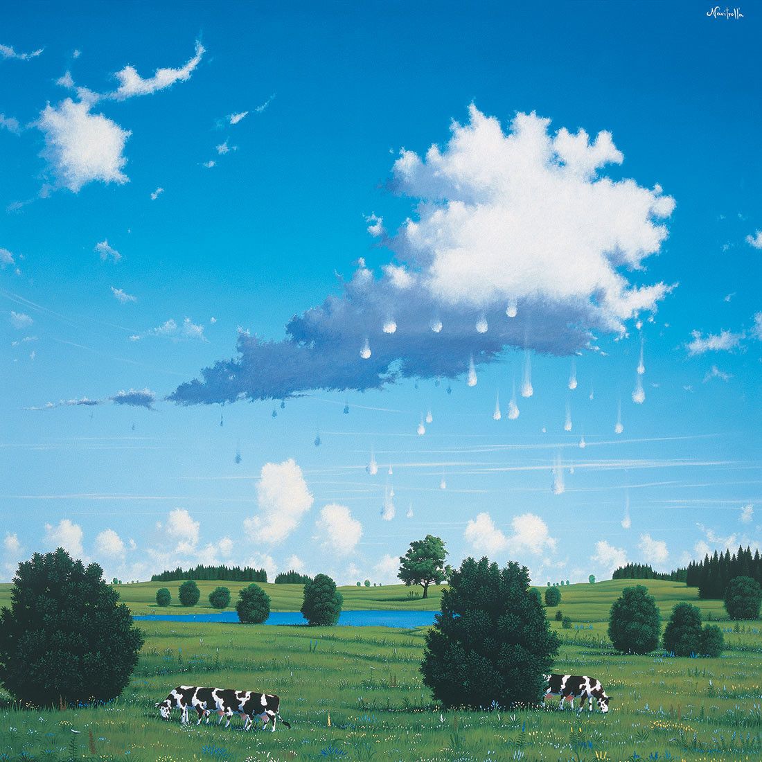 Галерея Навитролла