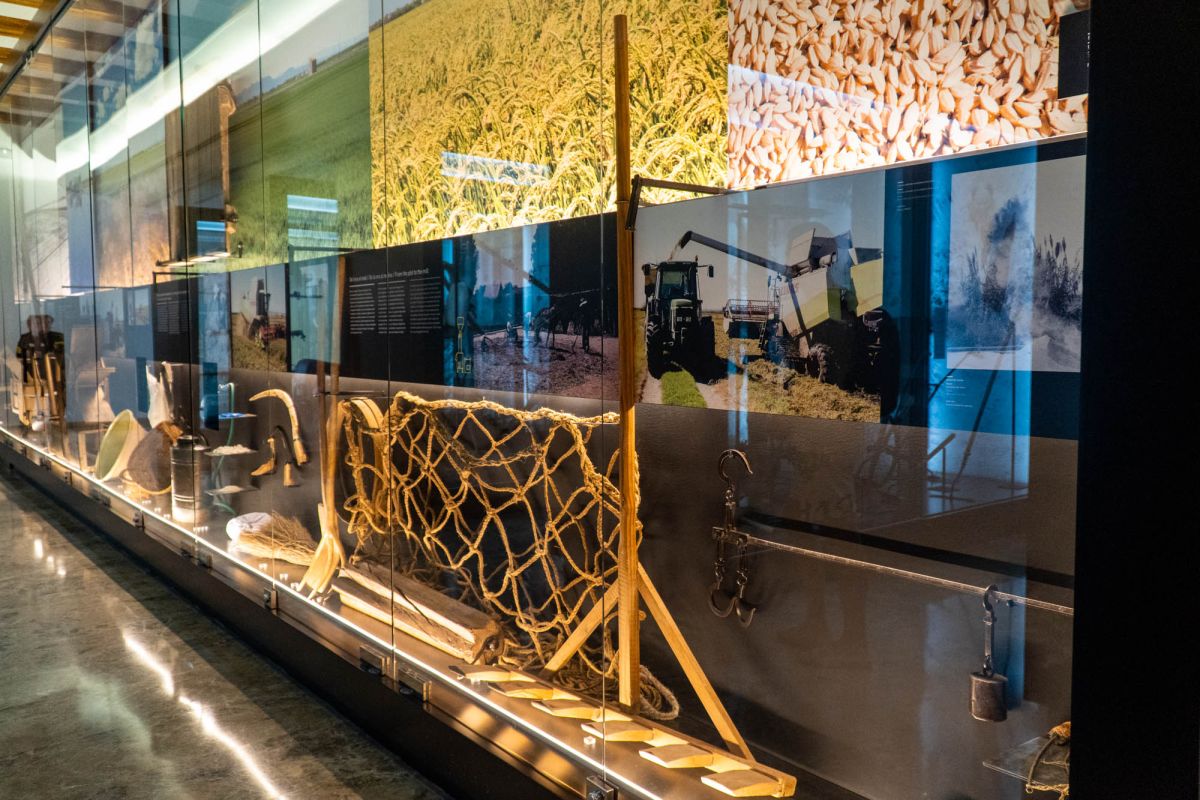 Валенсийский музей этнологии