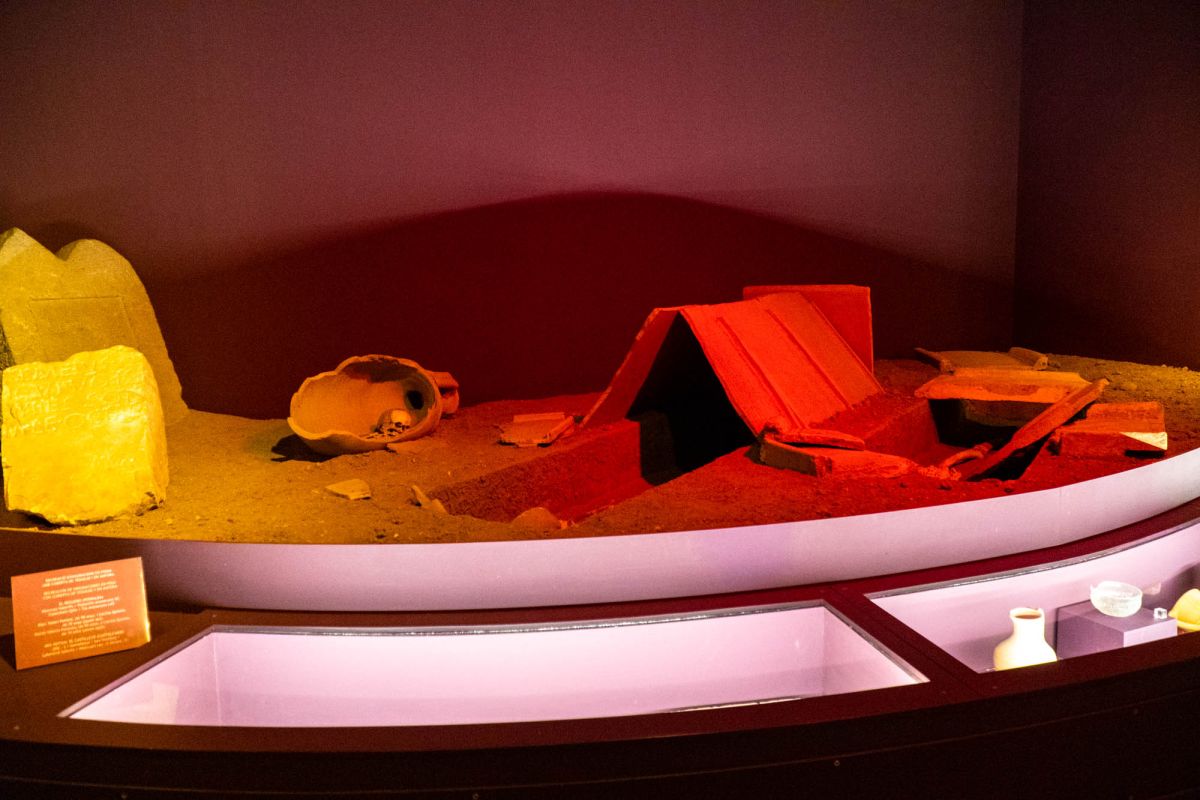 Музей доисторической эпохи Валенсии