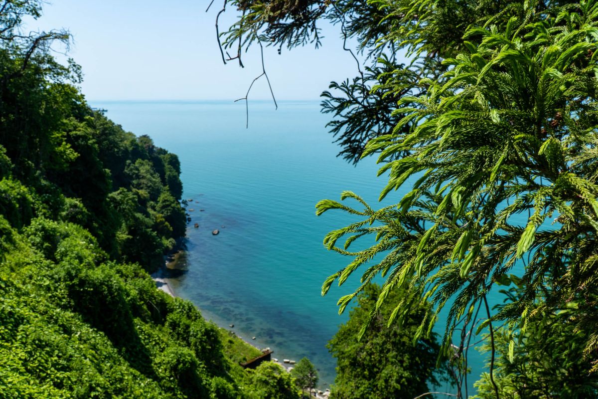 Батумский ботанический сад