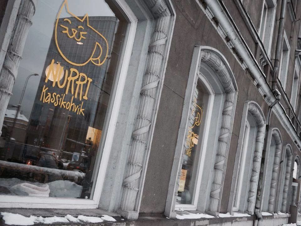 Кошачье кафе Nurri