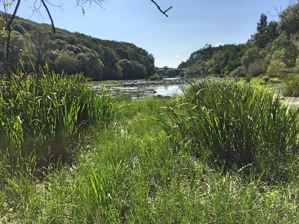 Река Тетерев