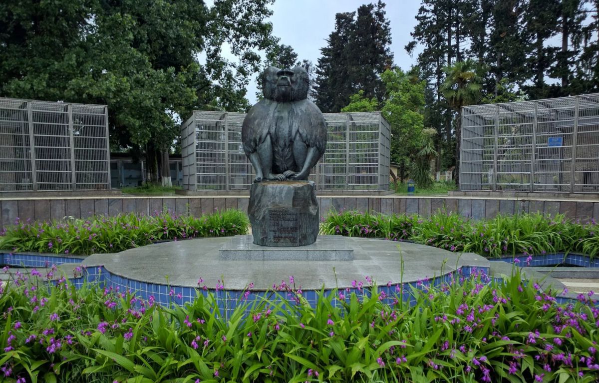 Сухумский Обезьяний Питомник