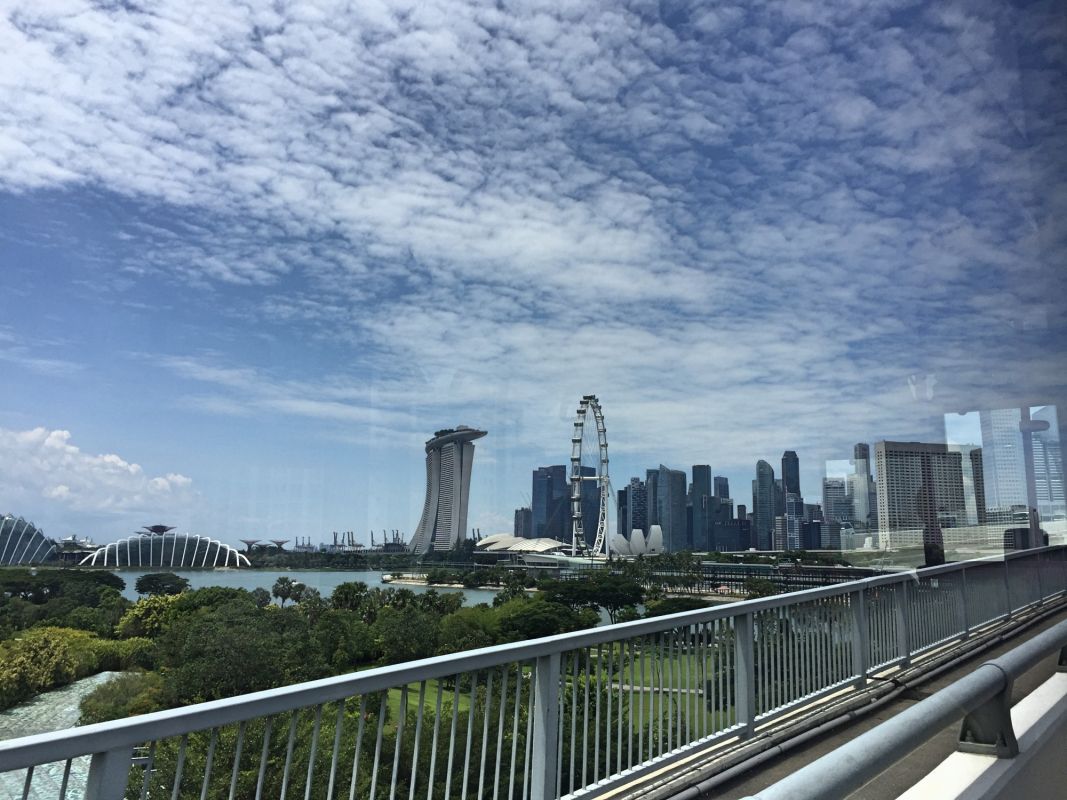 Сингапурское колесо обозрения