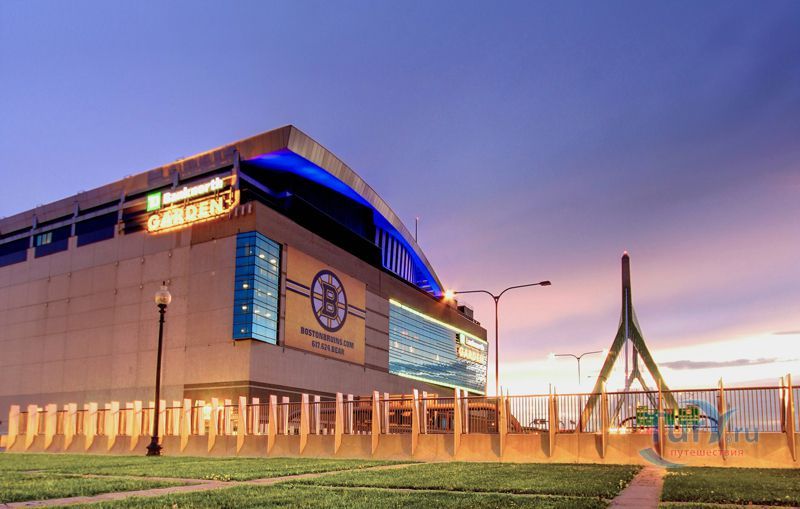 Ти-Ди Гарден