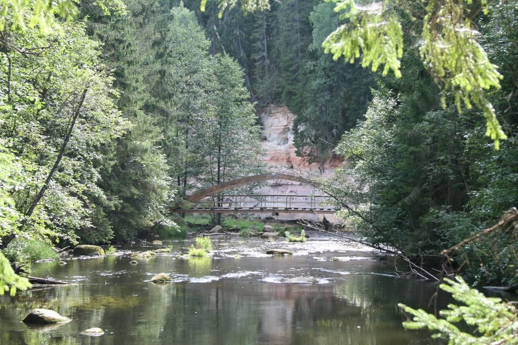 Большая Таэваскода