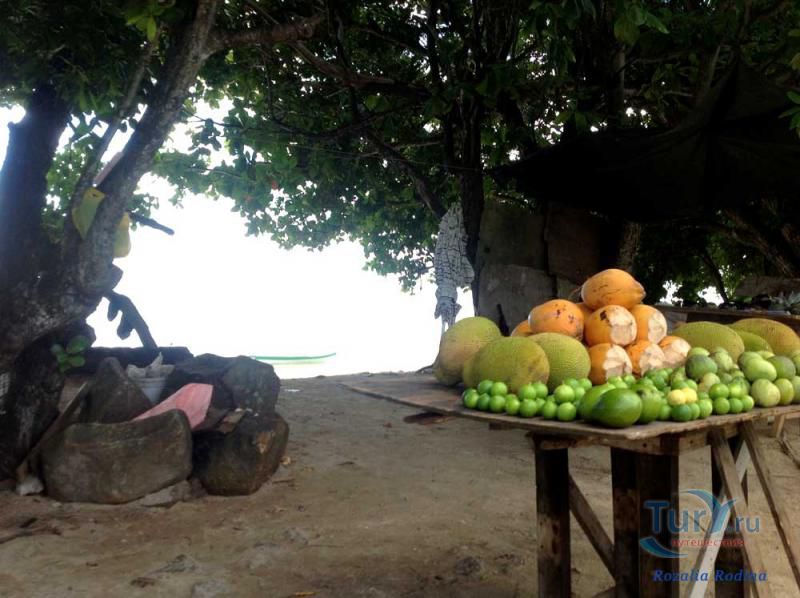 Пляж Анс-о-Пен и бухта Тартл