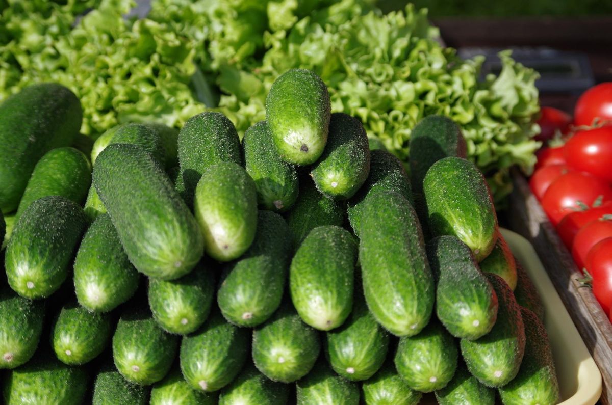 Центральный рынок Тарту