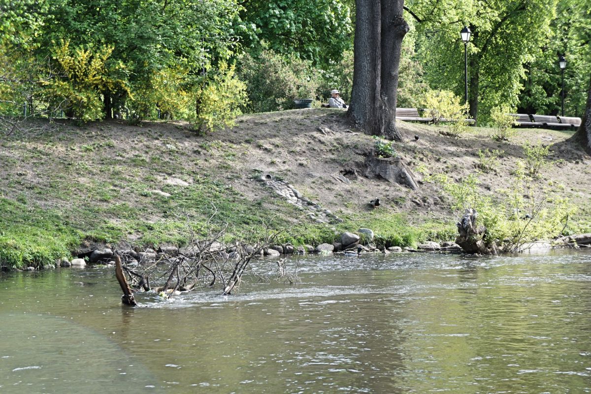 Бернардинский сад (Сад Bernardinų)