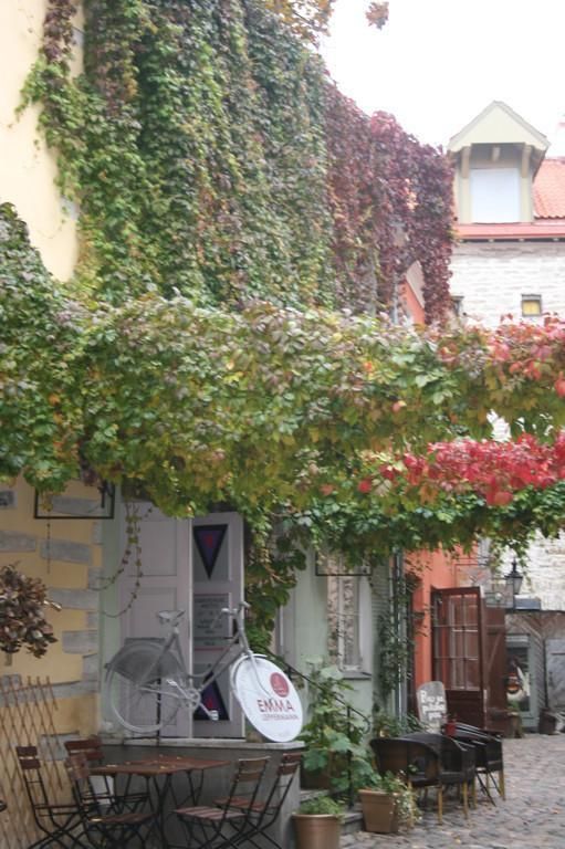 Магазин рукоделия Vahepealne Asutus