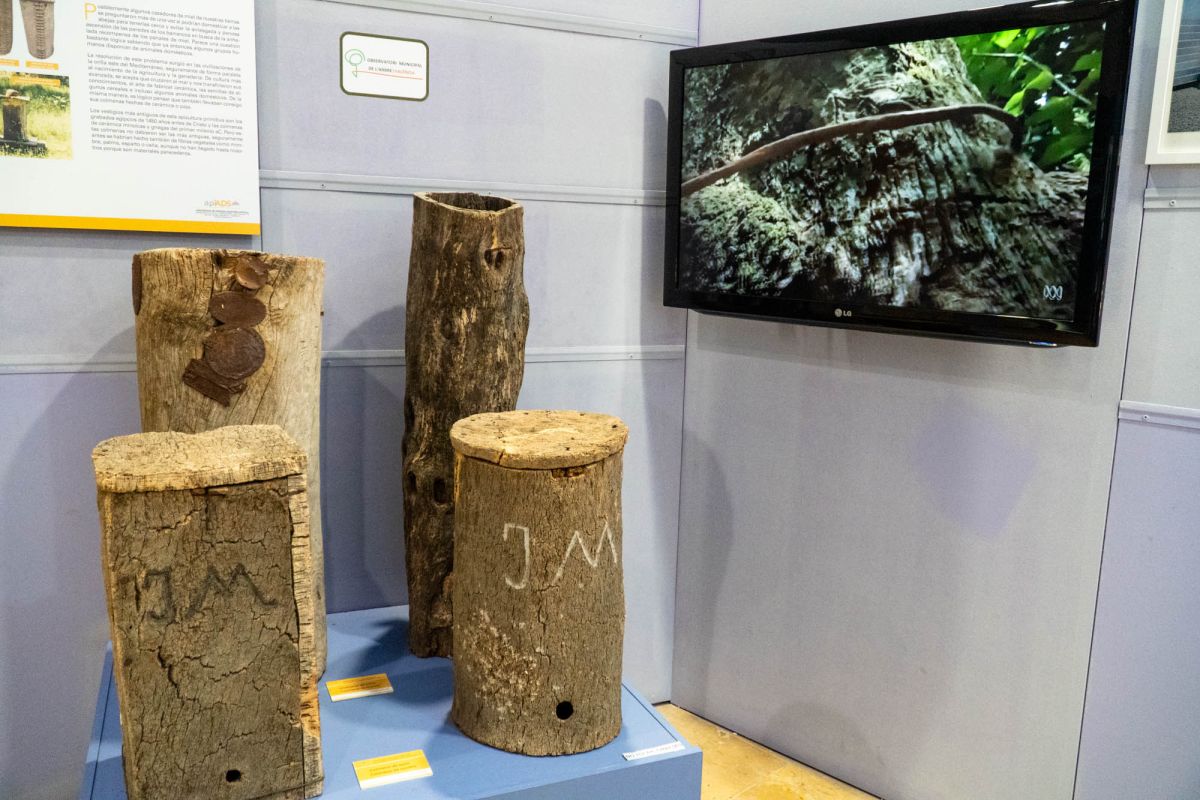 Музей естественных наук