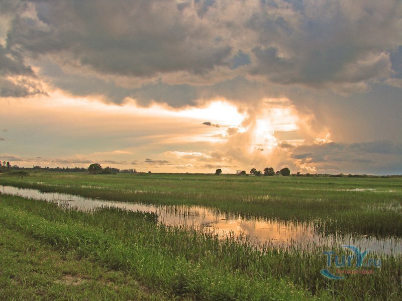 Национальный заповедник дикой природы Локсахатчи имени Артура Р. Маршалла