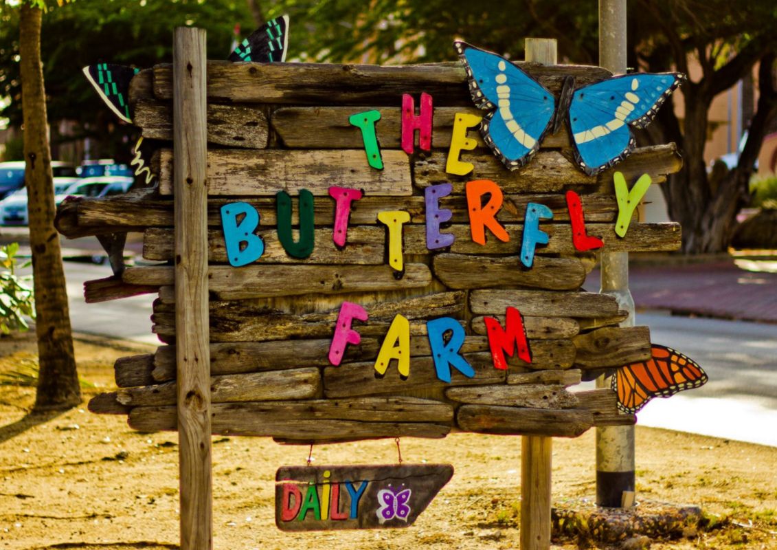 Ферма Бабочек (Aruba Butterfly Farm)