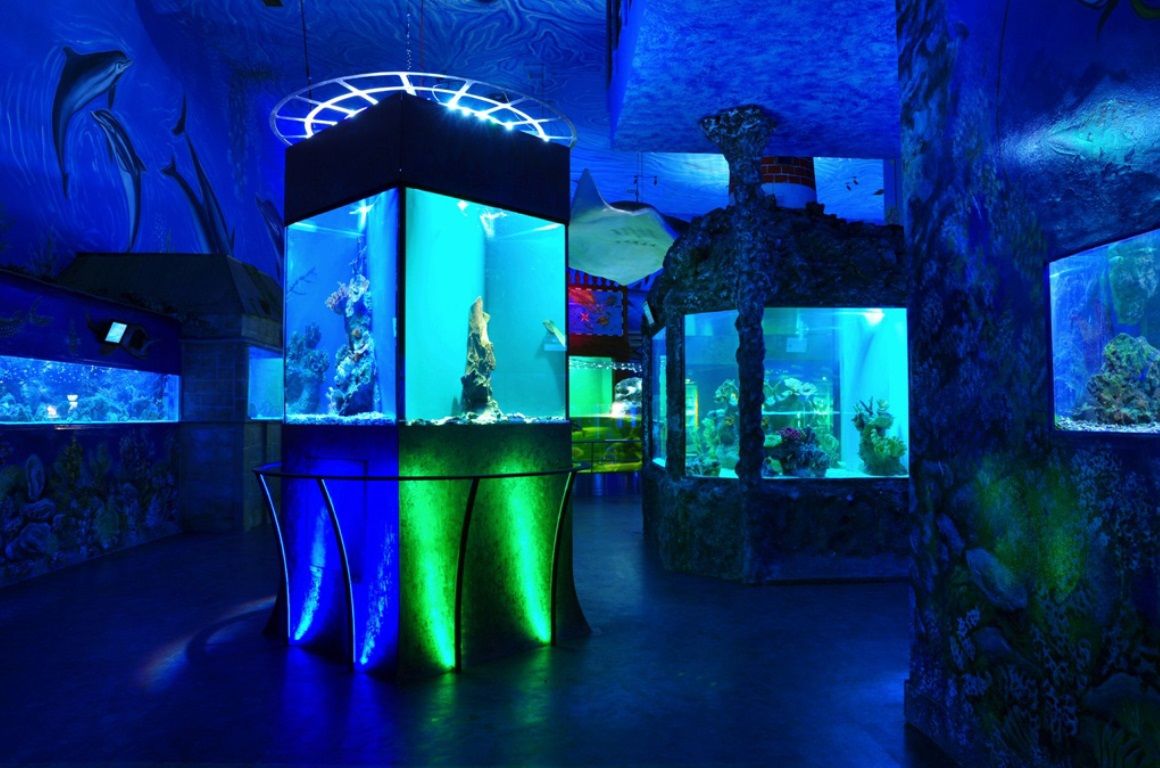 Морской мир