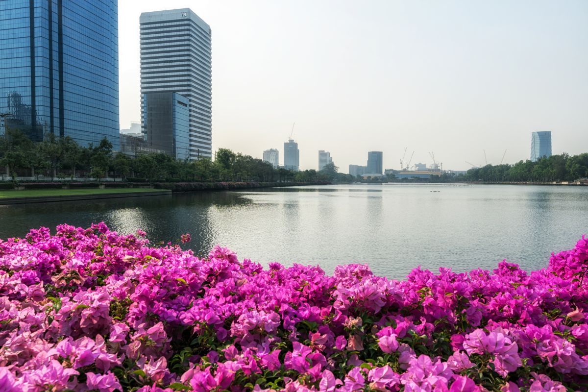 Бенчакити Парк